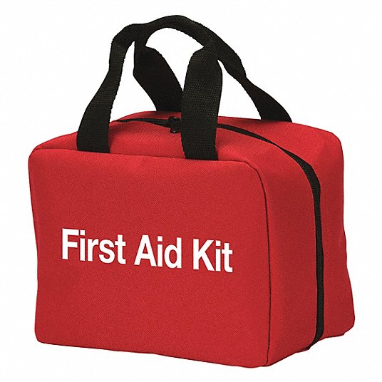 Health Science - First Aid