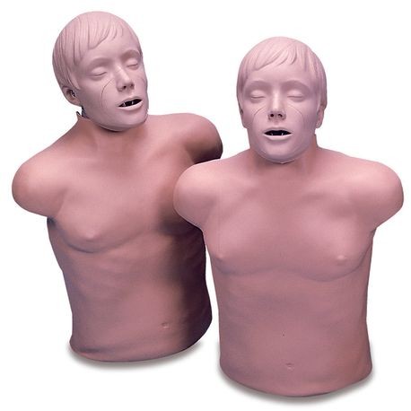CPR Adult - Lifelike/Torso