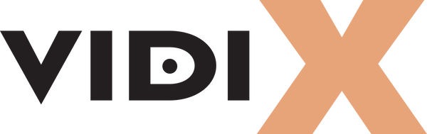 VIDI X Loan Program