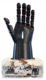 NeuroMaker Hand Kit